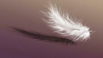 Falling Feather Wallpaper