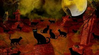 Halloween Night Cat Meeting Wallpaper Hq Desktop
