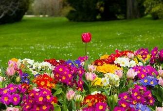 Spring Season Wallpaper Collection For Your Desktop Gizmocrazed