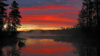 Pc Sweden Fine Wallpaper B Scb Wp Amp Bg Collection