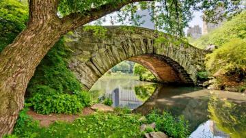 Wallpaper Id Greenery Beautiful Trees City New York