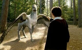Buckbeak Pottermore