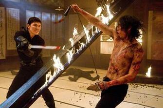 Ninja Assassin Martial Arts Action Thriller Crime Fighting