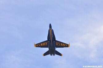 Blue Angels Wallpaper