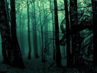 Black Forest Wallpaper Desktop Background