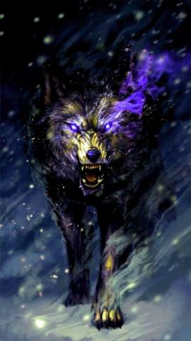 Pin De Haile Worku Em Familiares Imagem Lobo Desenho