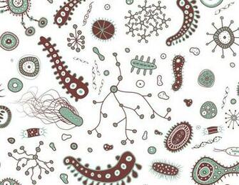 Bacteria Wallpaper