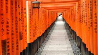 Fushimi Inari Taisha Arabica