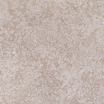 Nyiri Wild Rose Wallpaper Etsu Romo