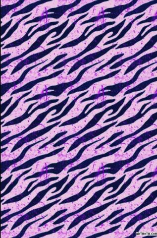 Background Pictures For iPhone