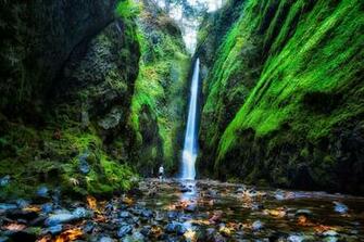 Oneonta Falls Oregon Moss Crag Nature Autumn F Wallpaper Background