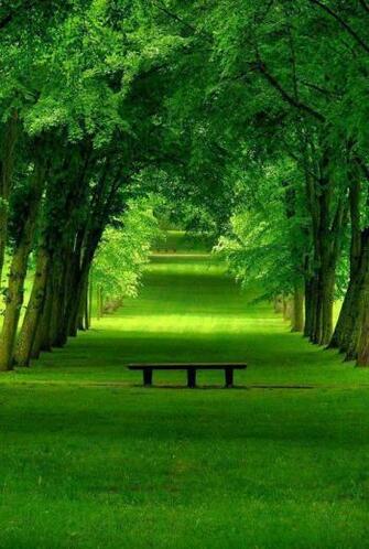Most Beautiful Natural Scene Wallpaper