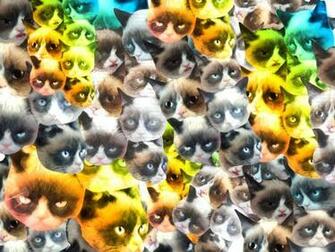 Grumpy Cat Background Tard The Wallpaper