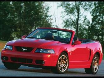 Svt Cobra