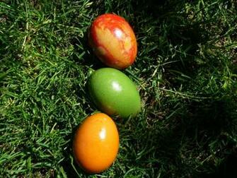 Easter Grassland Desktop Pc And Mac Wallpaper