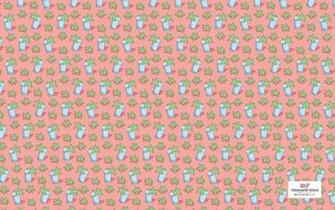 Canadianprep Vineyard Vines Wallpaper