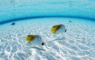 Wallpaper Clear Water And Blue Sky