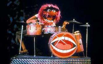 Drummers Are Natural Intellectuals Telegraph