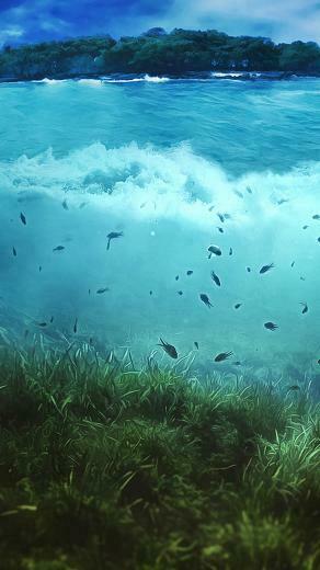 Nature Htc One M8 Best Wallpaper And Easy To
