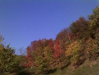 Harpers Ferry Wv Wallpaper