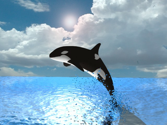 3d Studio Max Killer Whale With Background Complete
