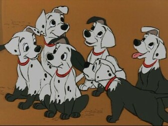 Dalmatians Image