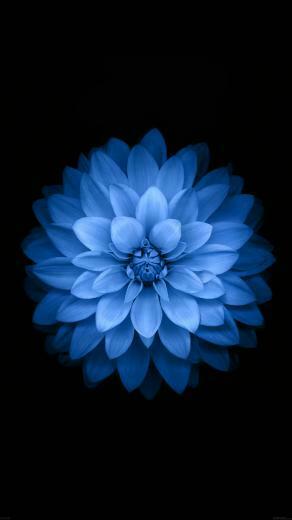 iPhone Plus Default Wallpaper Vari
