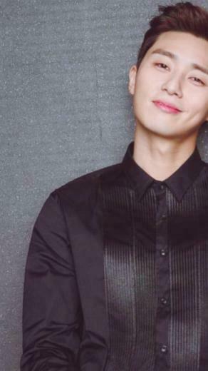 Park Seo Joon The S Domain Jun Baek