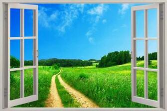 Details About Huge 3d Window Enchanted Meadow Wall Stickers Mural
