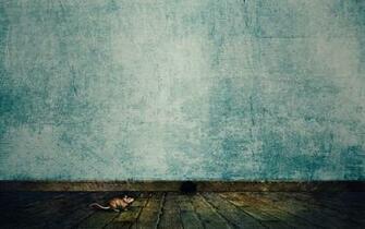 Floor Blue Wall Animals Room Houses Holes Mice Mousehole