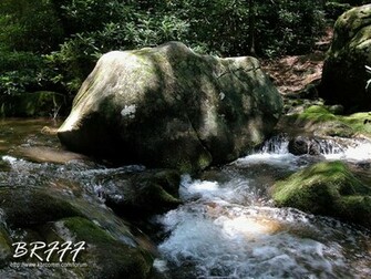 Brfff Fly Fishing Nc Wallpaper