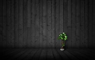 Papel De Parede Bonsai Num Quarto Escuro Wallpaper Para No