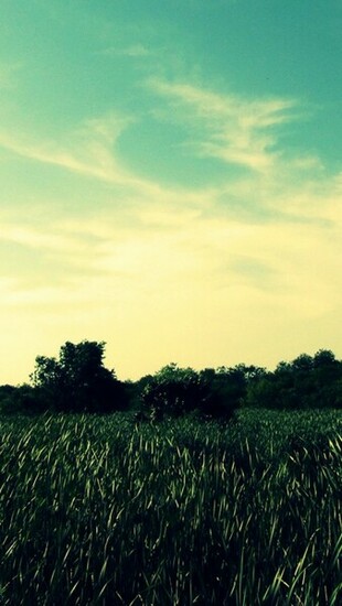 Wallpaper Nature Photos iPhone