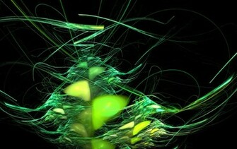 Infected Mushroom By Exarune Projekts