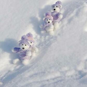 Bears Winter Break iPad Wallpaper iPhone
