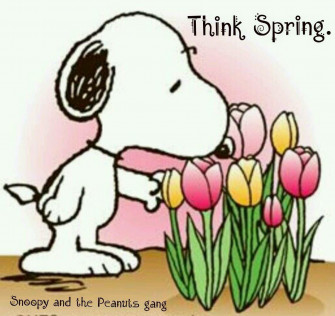 Snoopy Spring 4k Wallpaper