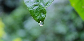 Raindrop Water Blur Drop Outdoor