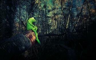 Philosophy Kermit The Frog Frogs Wallpaper Desktop