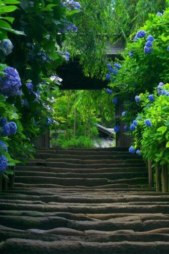Beautiful HD Wallpaper For iPhone