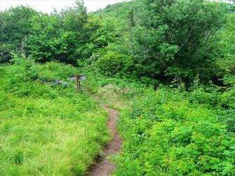 Appalachian Trail Wallpaper