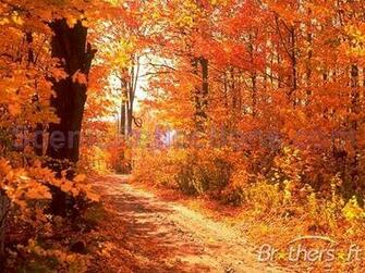 Screensaver Colors Of Autumn