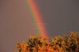 Best Pot Of Gold Desktop Background