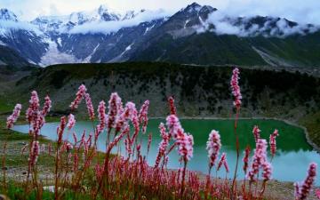 Pakistan Lake Flower Nature Hill Mountain Earth Landscape