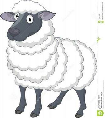 Sheep Cartoon Image