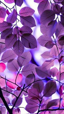 So Realistic Nature iPhone Wallpaper Purple Pretty