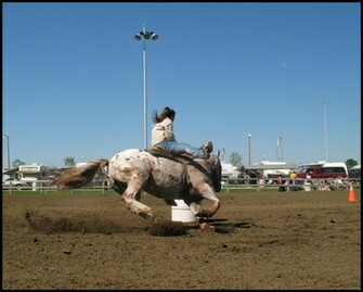 Barrel Racing By Eyesofhumor