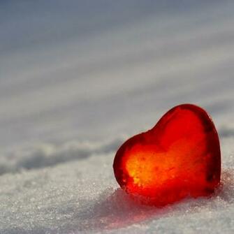Valentines Wallpaper Which Is Under The Day