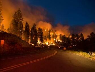 Wildfire Wallpaper The Little Bear