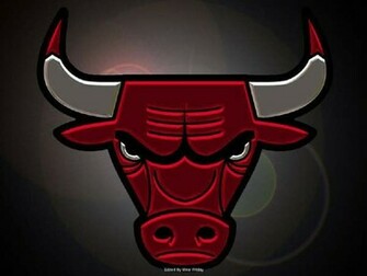 The Bulls Logo Chicago Photo