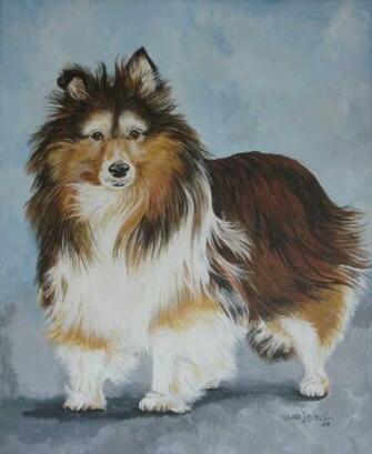 Sheltie Computer Wallpaper Artwork